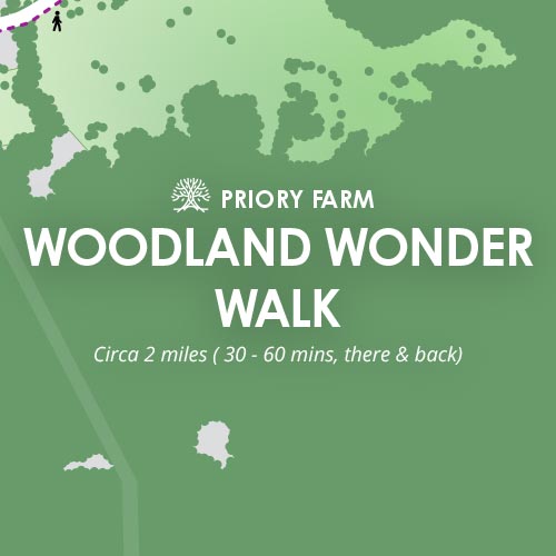 Woodland Wonder Walk