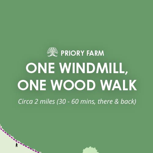 One Windmill, One Wood Walk